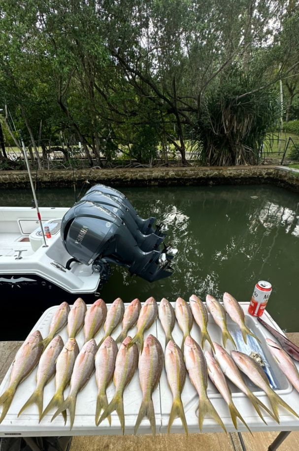 Six fishing adventure in FL