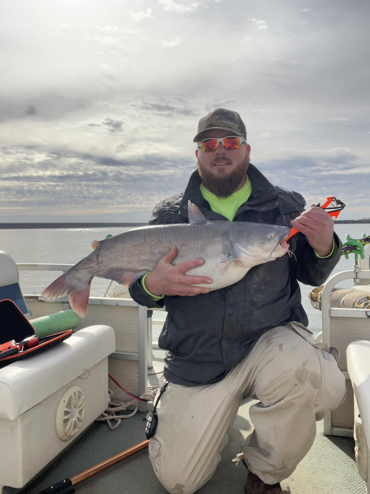 Blue catfish caught while fishing in North Bay Village FL