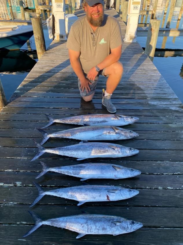 6 fish caught on southern shores