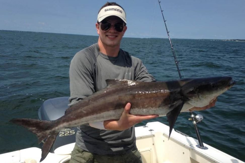 One huge cobia fish caught in NC