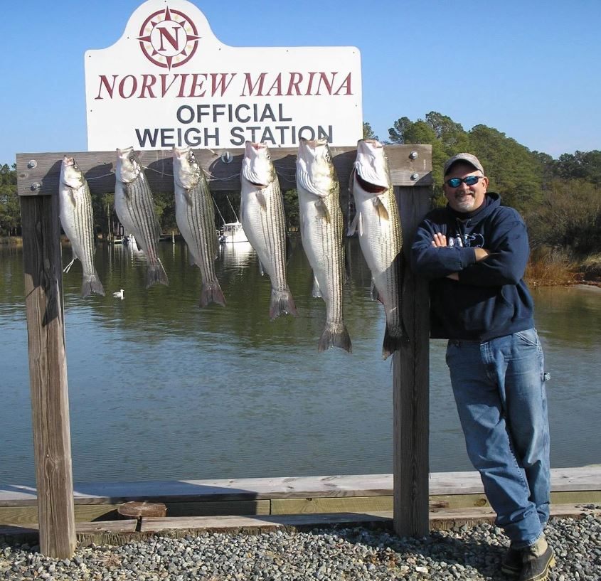 Four striped bass caught in NC
