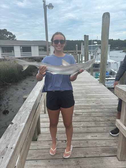 Freshly caught fish displayed on wooden dock in Calabash NC marina