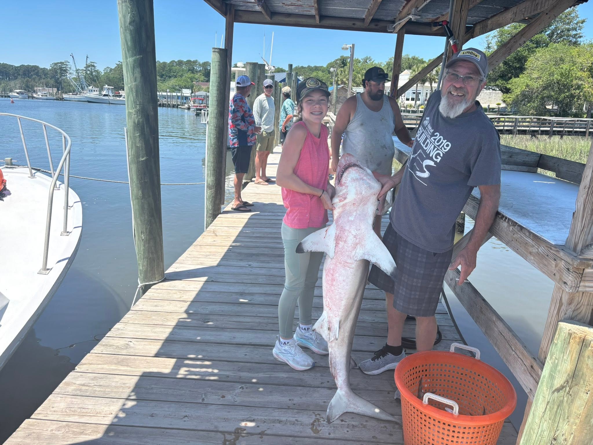 Large sandbar shark catch displayed on wooden dock in Calabash NC fishing marina