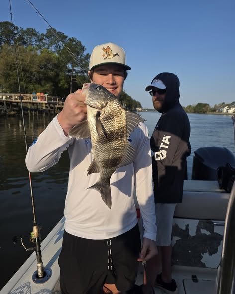 Black drum catch on fishing boat in Gulf Shores Alabama