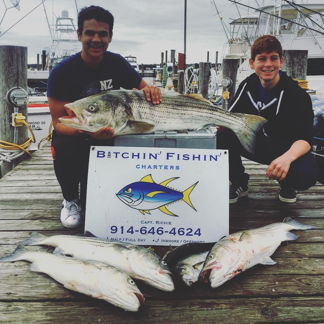 4 striped bass caught in Montauk
