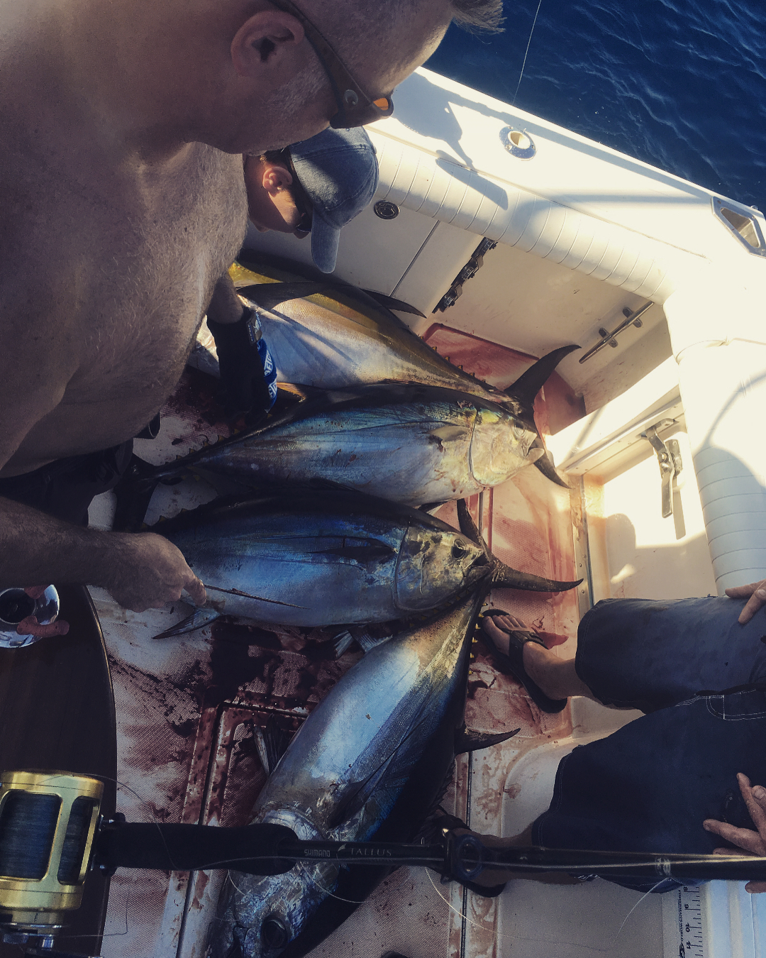 Two fish caught in NY