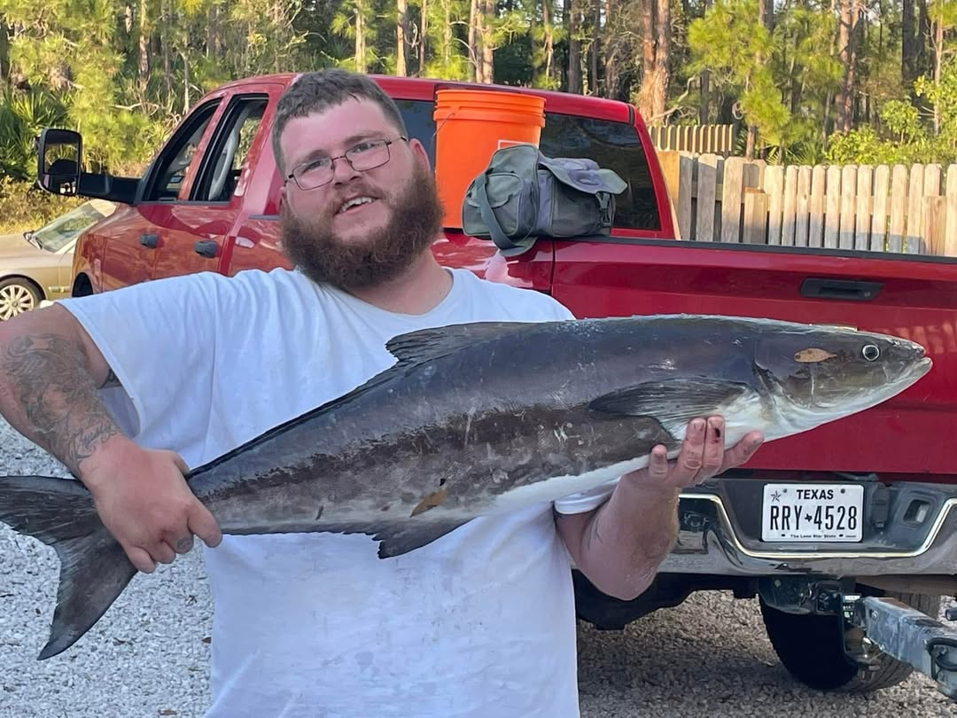 Large cobia fish caught fishing in Grant-Valkaria FL