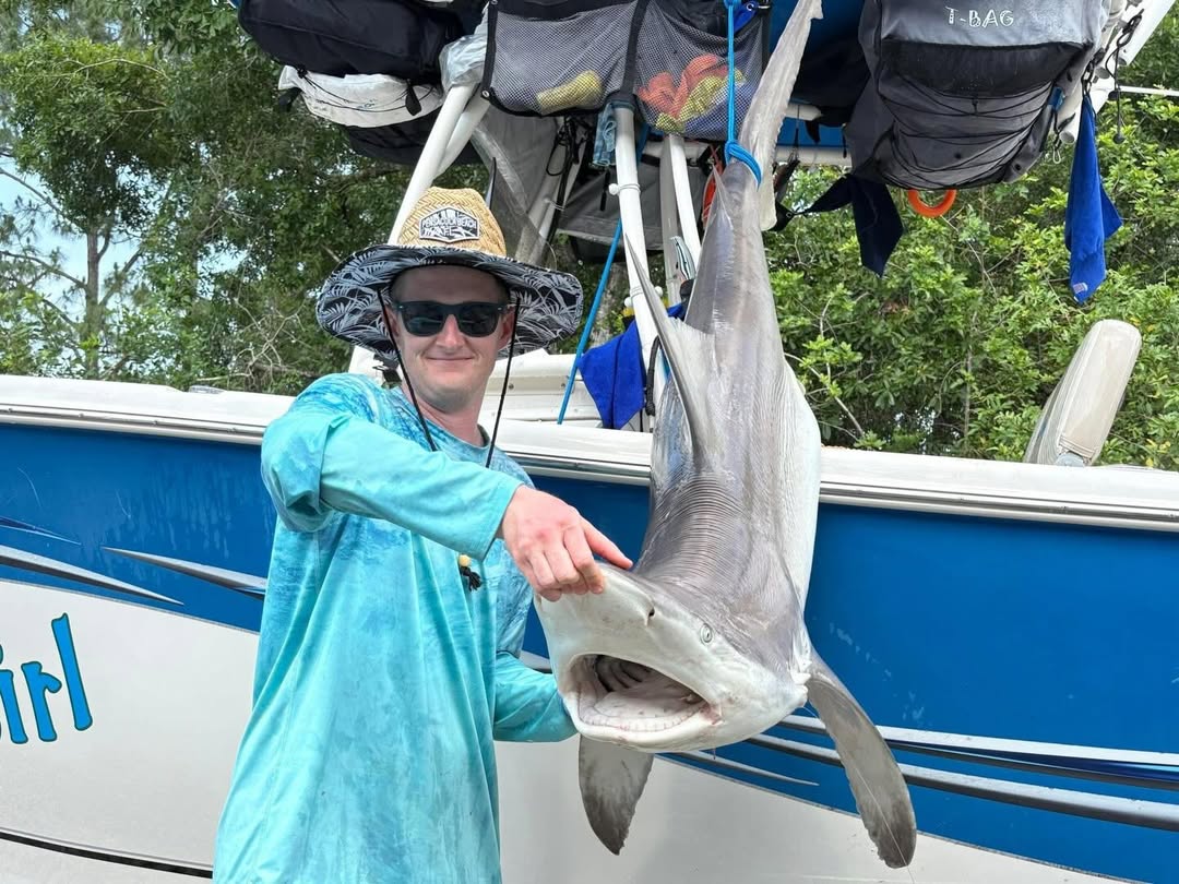 9 hour shark fishing charter boat targeting hammerhead bull tiger sharks offshore Florida waters