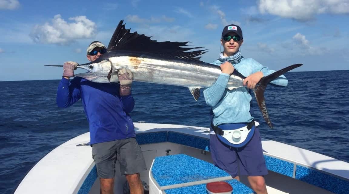 A large Atlantic Sailfish caught in FL while fishing