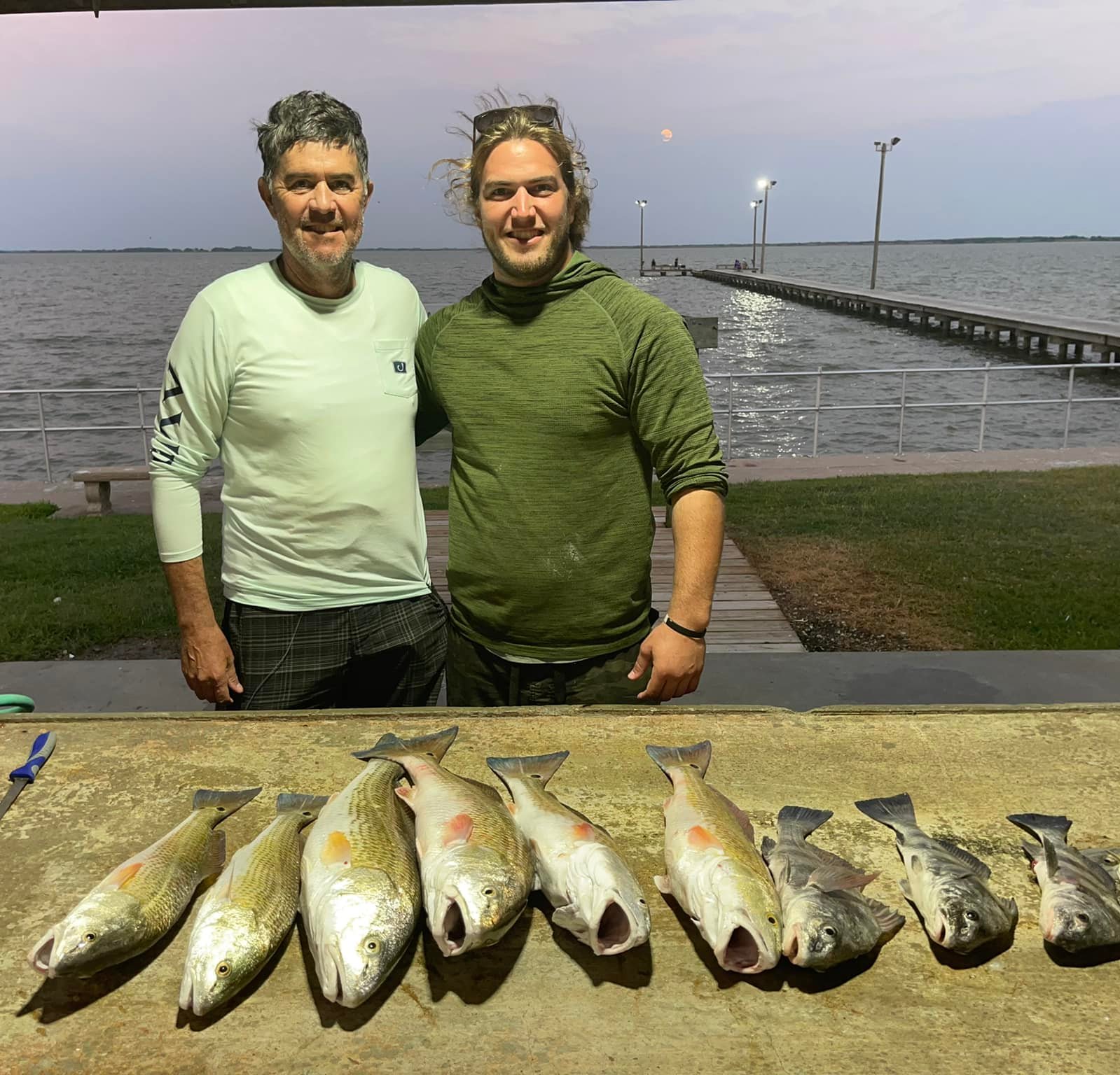 7 sheepshead fish caught while fishing in TX