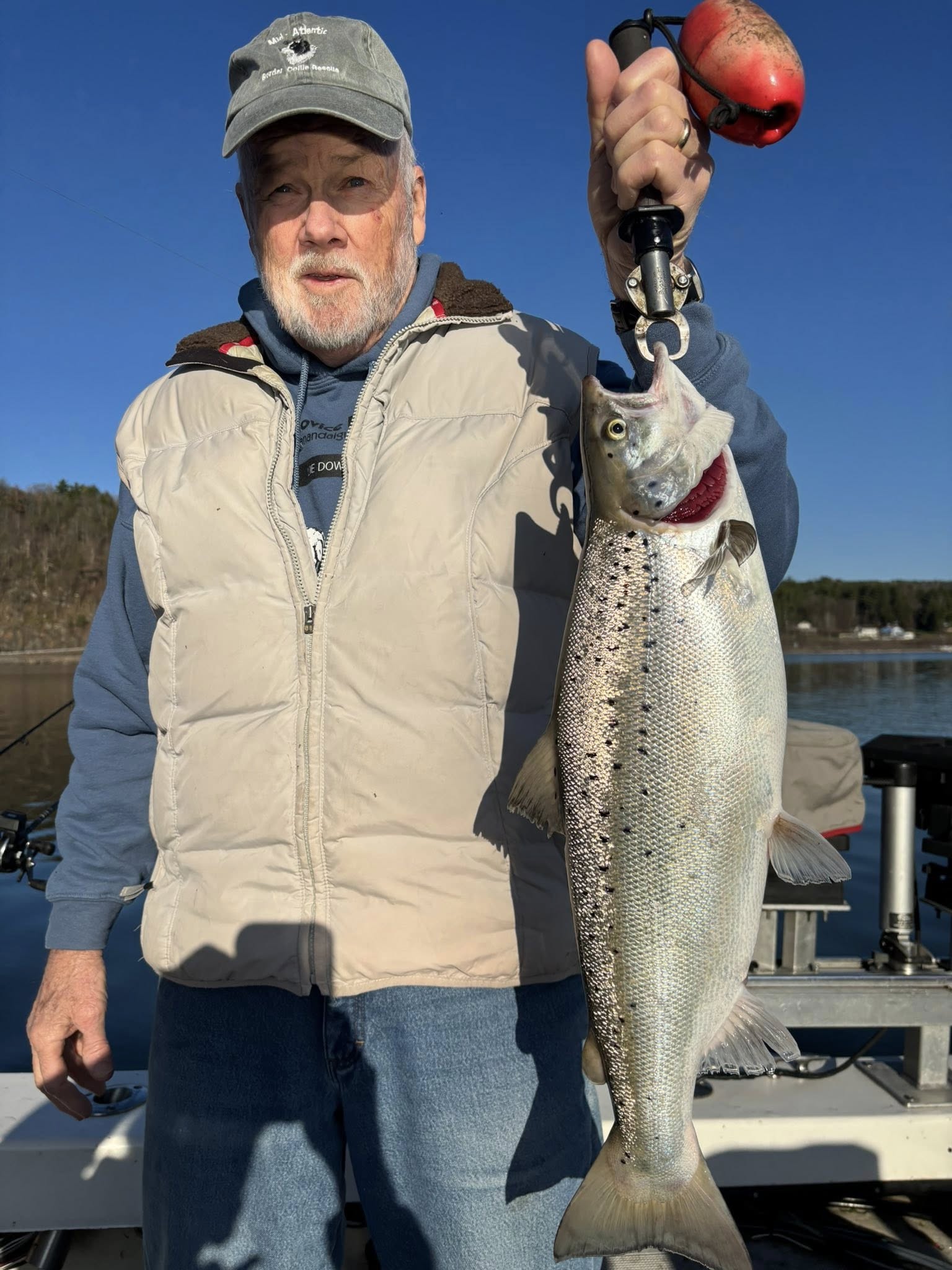 Atlantic salmon catch displayed on fishing boat in Burlington VT