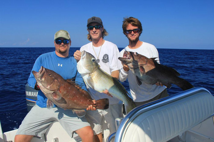 Three tautog fish caught by three people in Key West