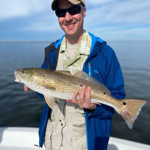 A caught redfish, 20 inches long, in FL