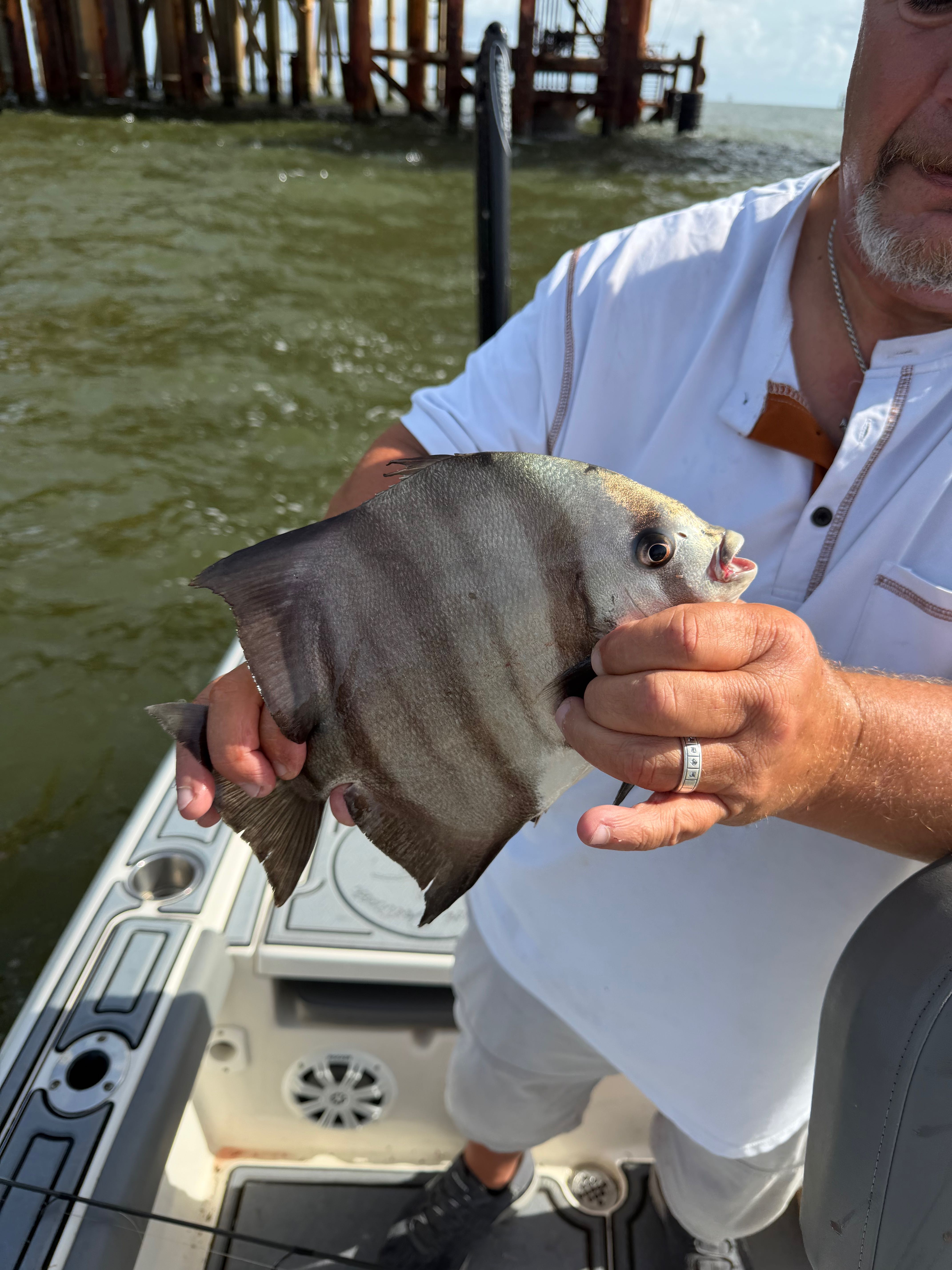Spadefish caught during fishing tour in Hopedale Louisiana