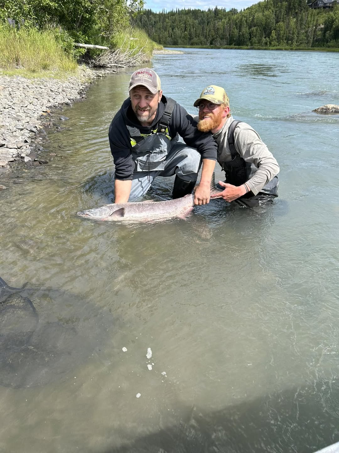 Two anglers holding a large salmon in shallow water near Kenai Alaska riverside