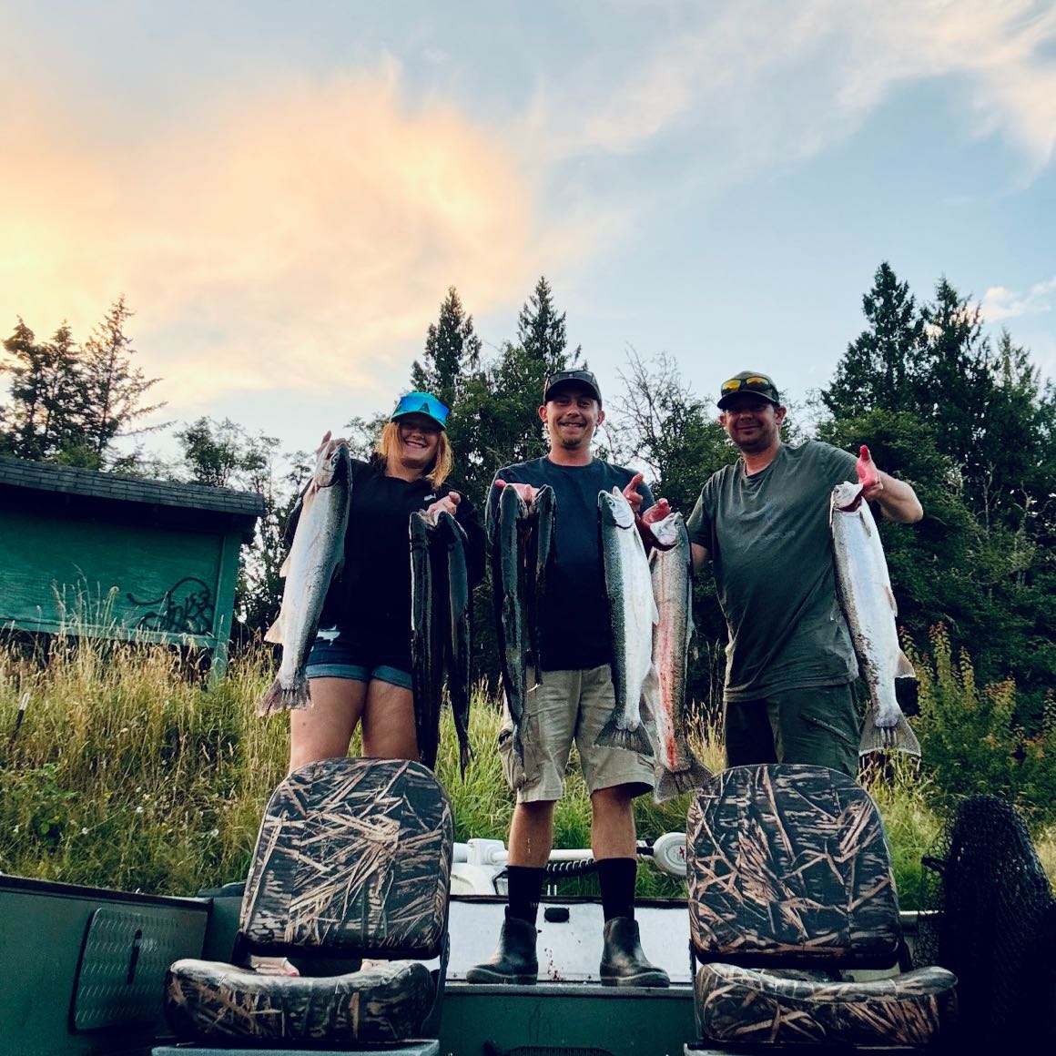 4 rainbow trout caught in Chehalis