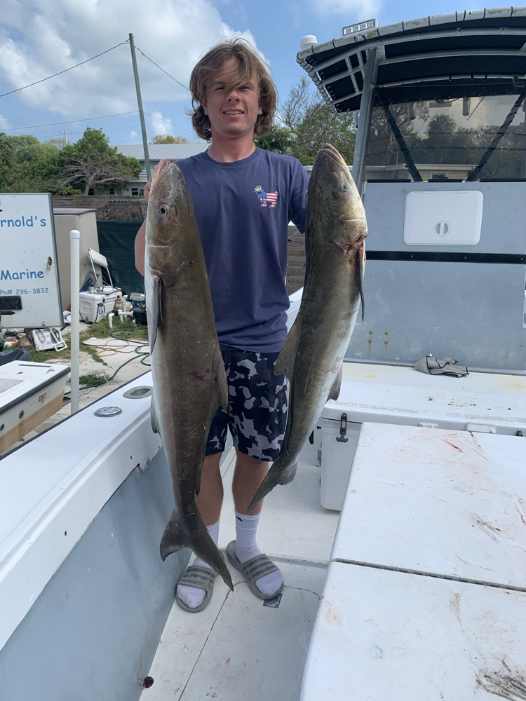 Two large cobia caught during fishing trip in Summerland Key Florida