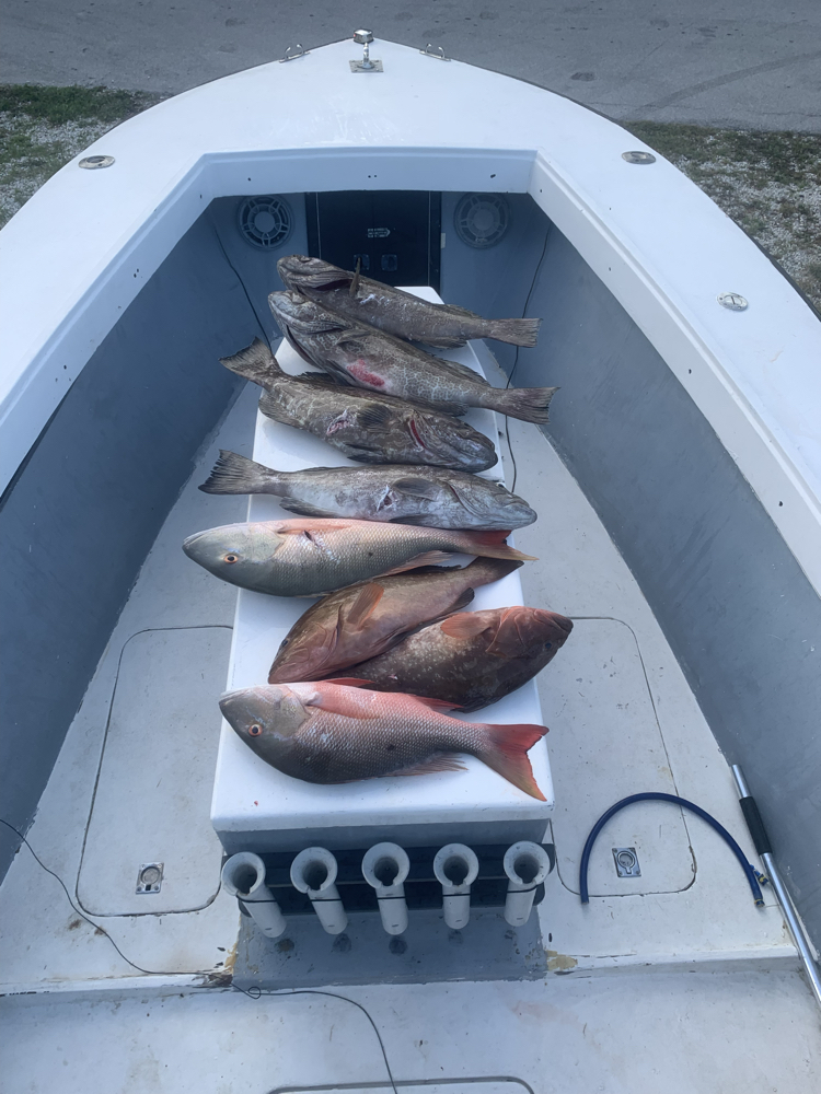 Fresh caught mutton snapper and mixed reef fish displayed on boat deck in Summerland Key Florida