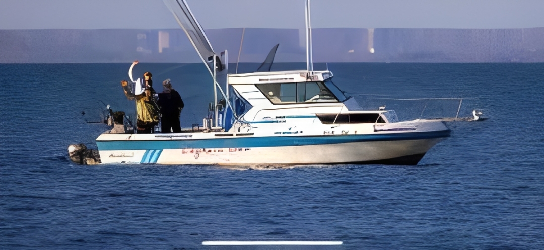 Watkins Sportcraft