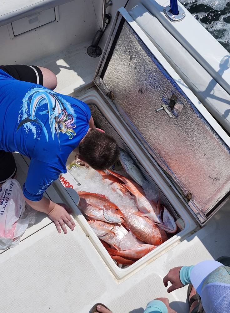 Fresh caught red snapper fish stored in cooler box on fishing boat