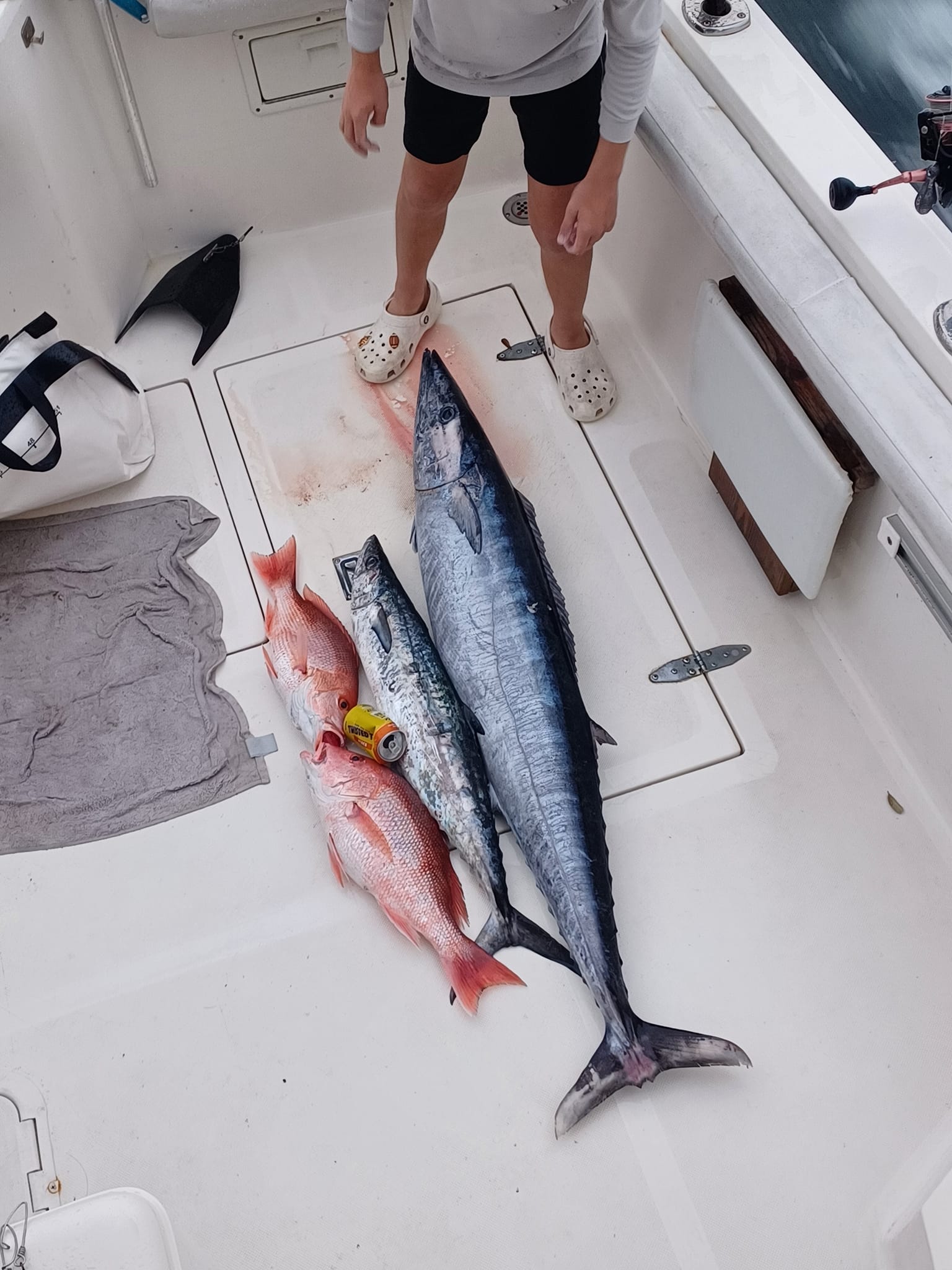 Fresh caught wahoo fish and red snapper displayed on boat deck after successful fishing trip