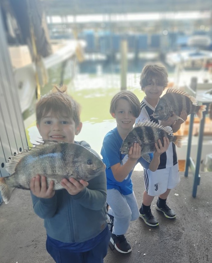 Two sheepshead fish caught while fishing in TX