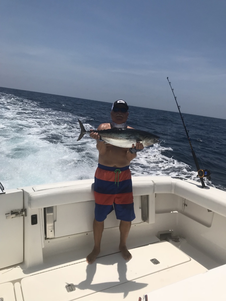 An Atlantic Bonito fish caught during a fishing trip in SC.