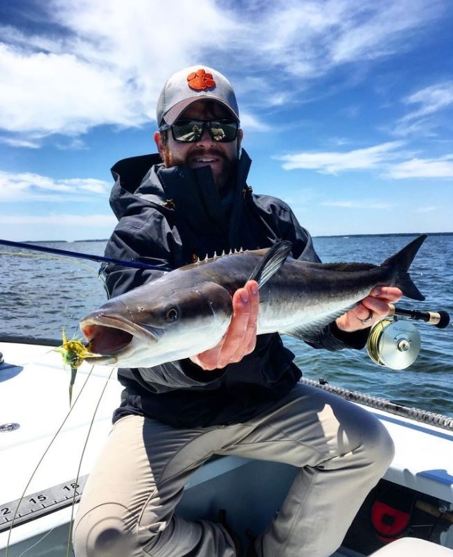 Cobia fish caught in SC