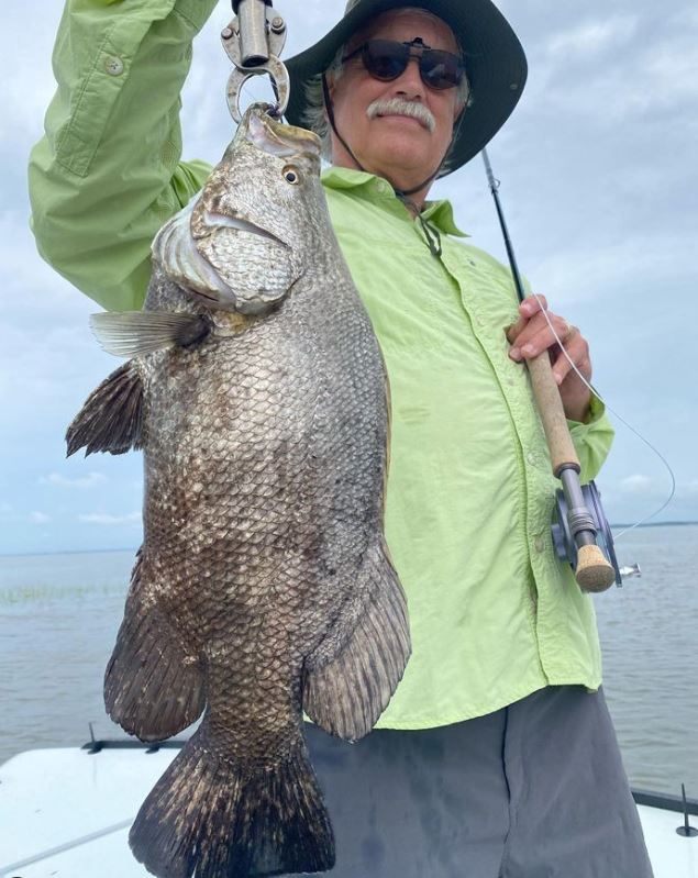A single tripletail fish caught in Mount Pleasant