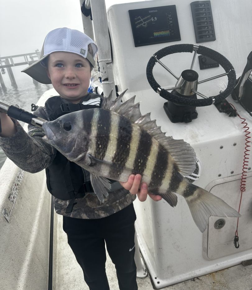 Sheepshead fish caught while fishing in FL