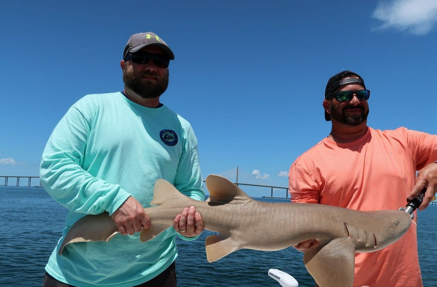 Saint Petersburg FL shark fishing charter boat targeting Bull Sharks and Hammerheads offshore