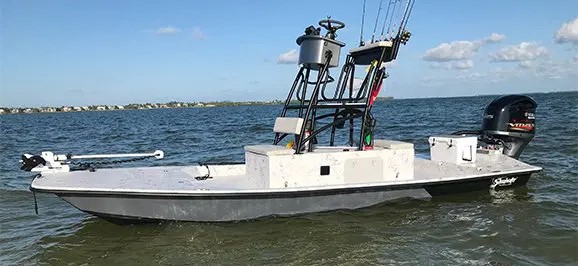 Shoalwater Cat