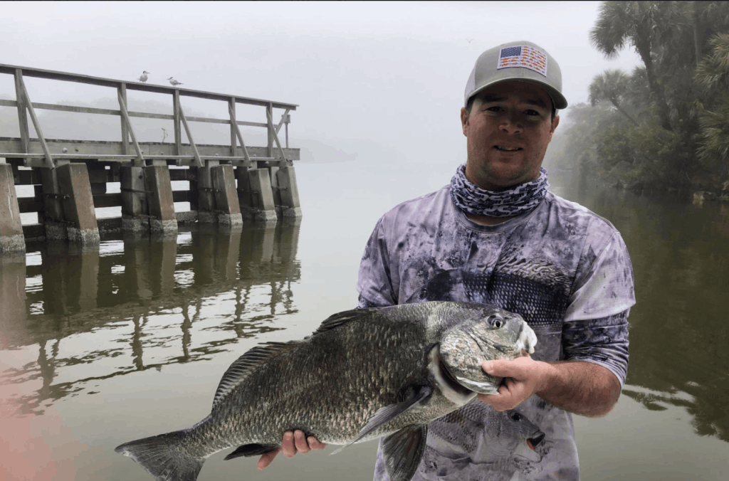 Angler catching a big black drum fish in FL