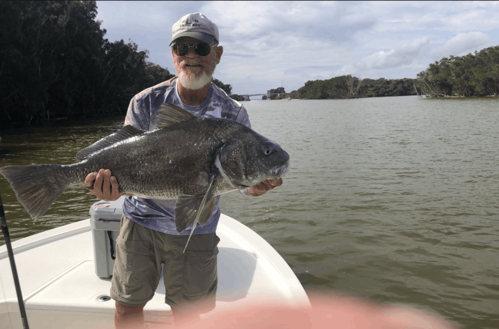 A fisherman holding a large black drum fish in Edgewater