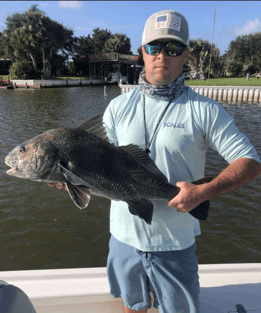 Black Drum fish caught fishing in FL