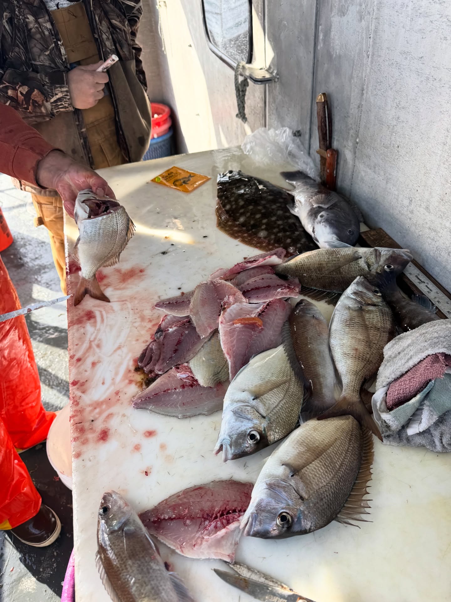5 scup fish caught while fishing in GA