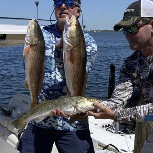 3 fish caught while fishing in Fort Myers