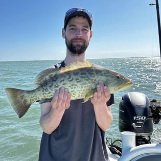Gag grouper fish caught in FL