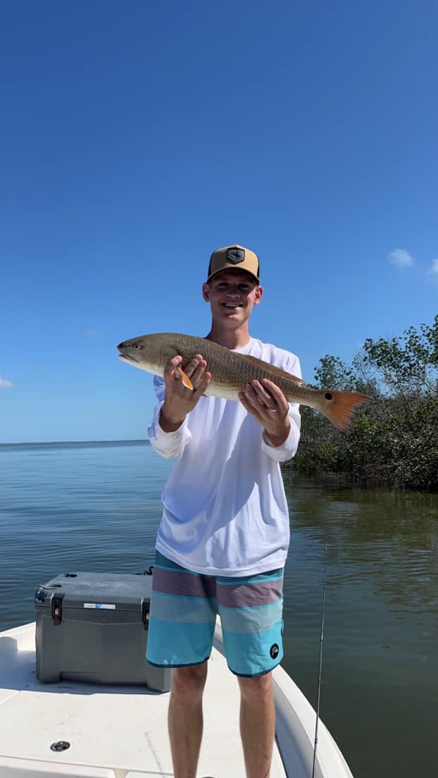 Redfish caught by angler in Fort Myers