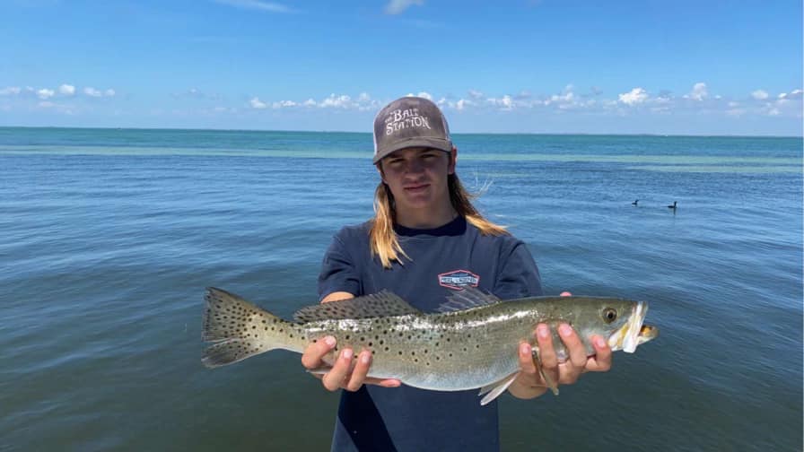 Spotted Weakfish, 32-inch fish caught while fishing in Fort Myers