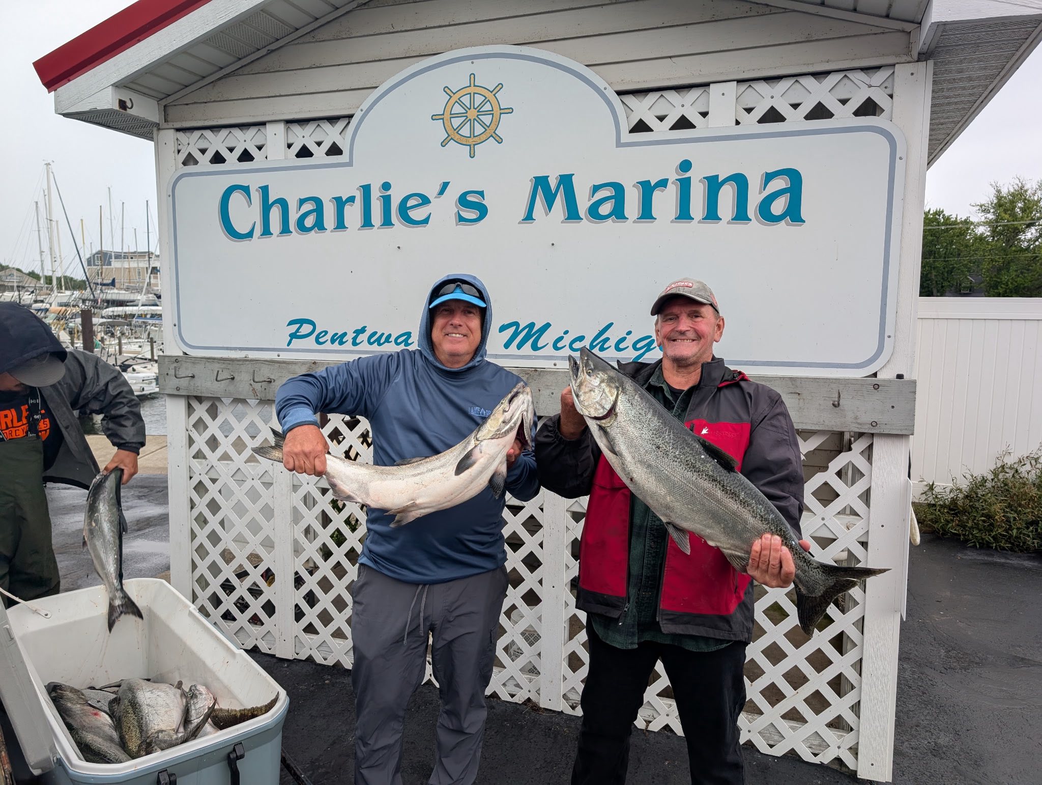 Successful fishing trip displaying caught Chinook salmon at Charlie's Marina in Pentwater MI