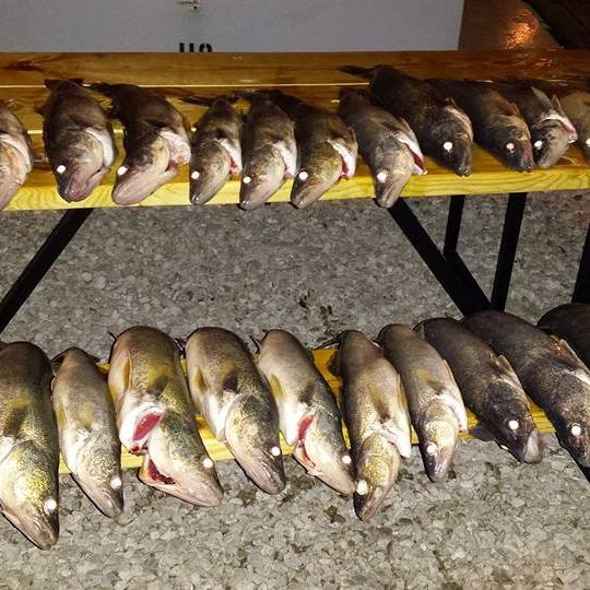 10 big fish caught in OH while fishing