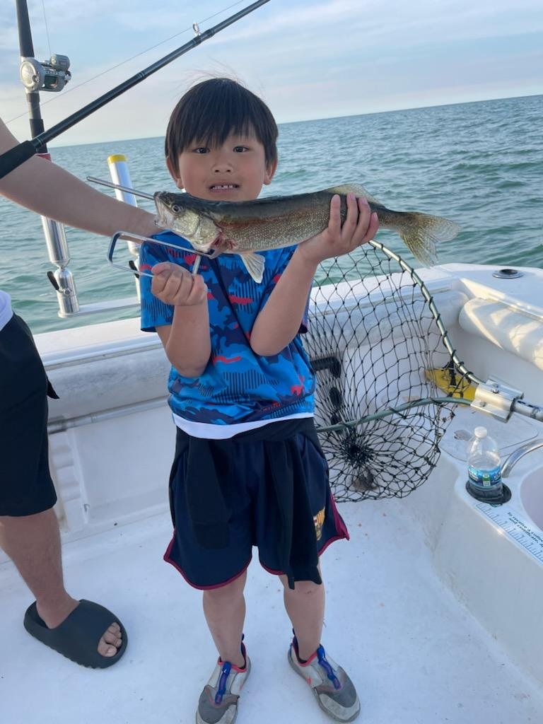 A single angler fishing in Vermilion