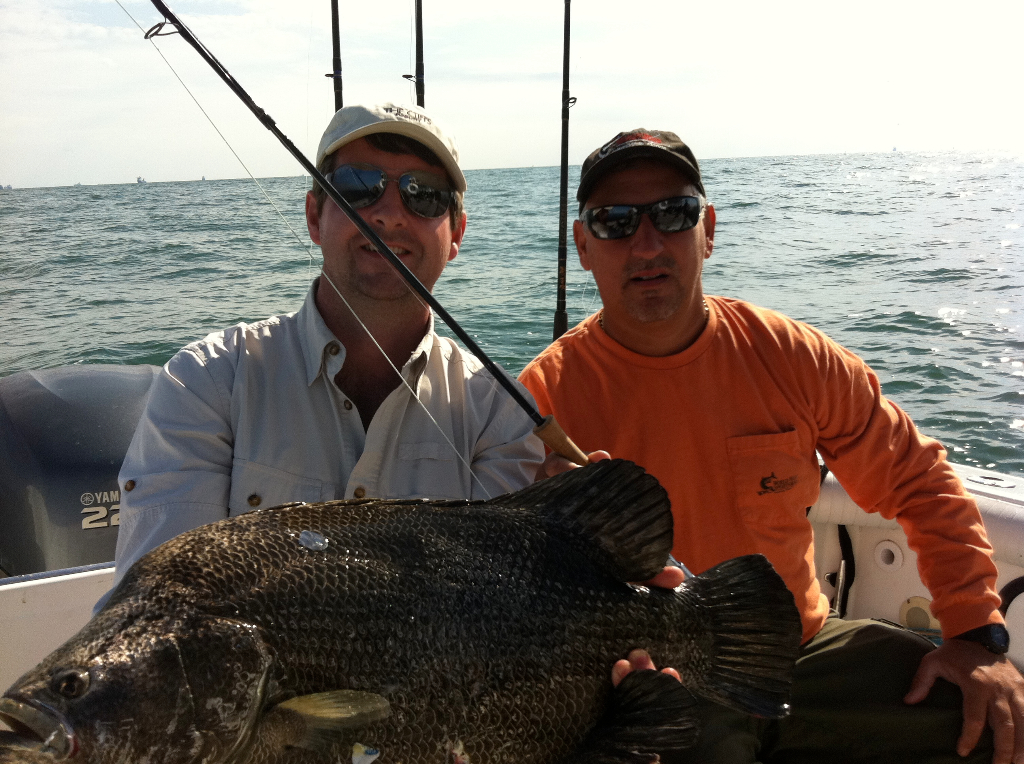 Tripletail fish caught in TX