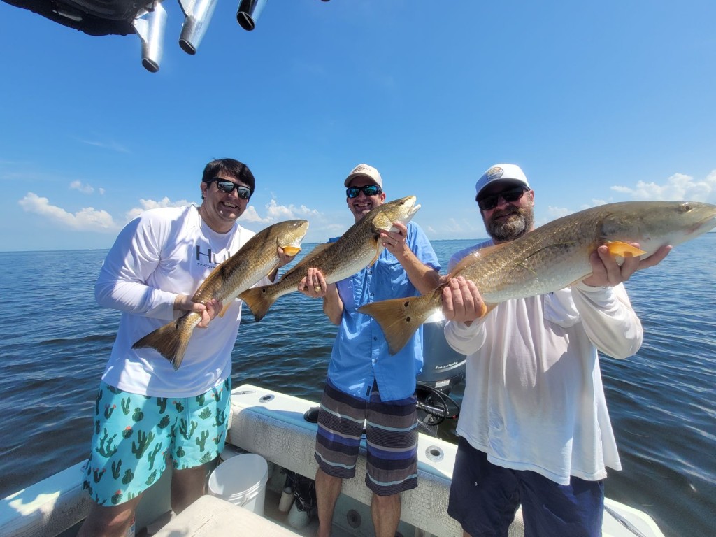 Two redfish, 34 inches long, caught in Palmetto