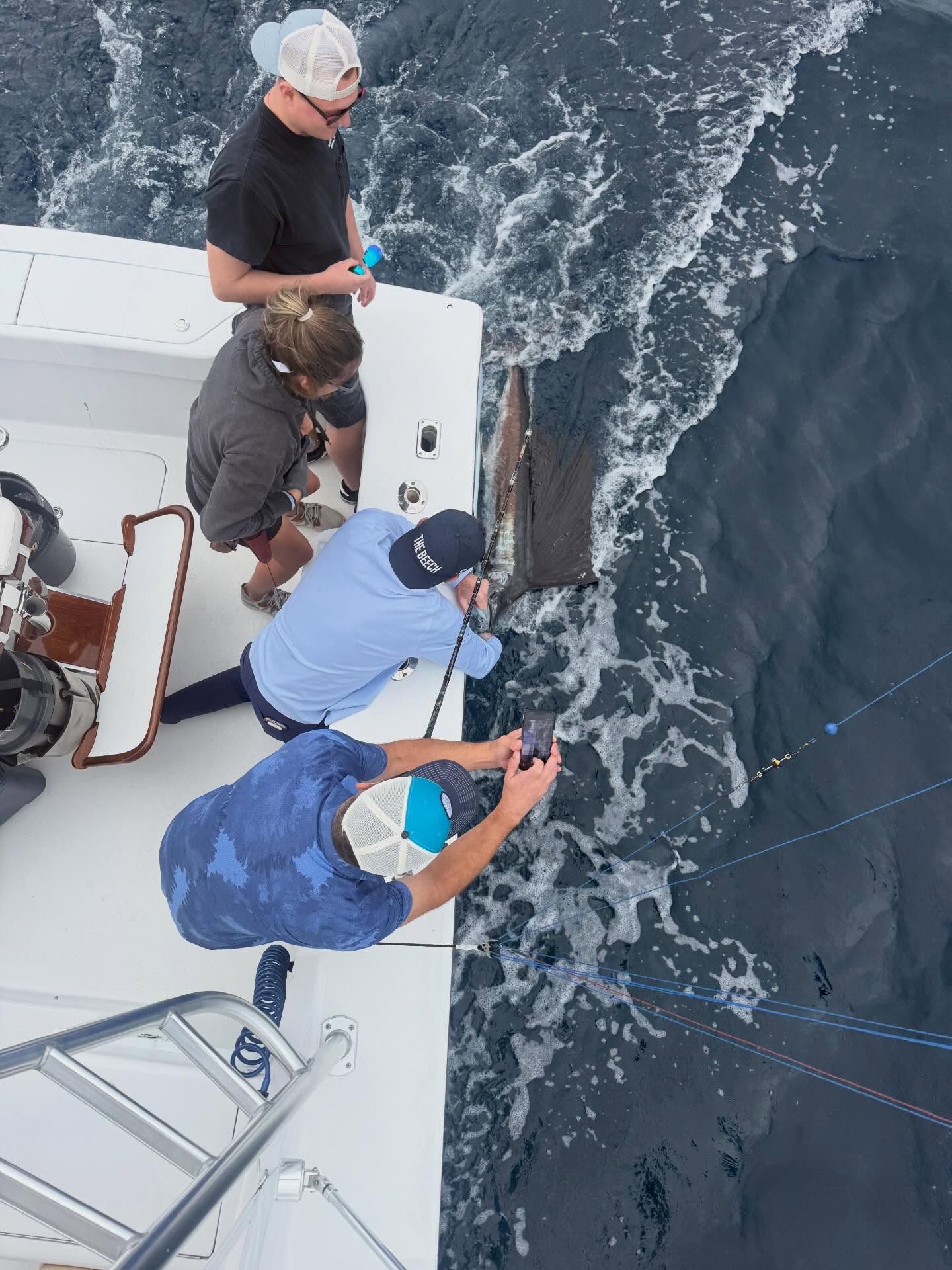 Wahoo fish being brought aboard fishing boat in Palm Beach FL waters