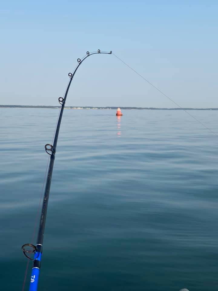 Scenic view of Cape Charles harbor