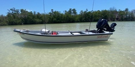 Skeeter ZX22V (Flats boat)