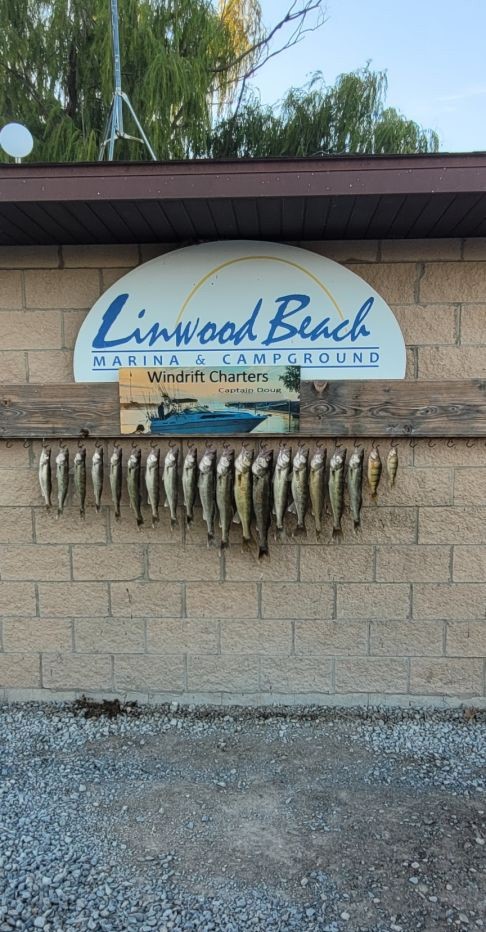 String of caught fish displayed on wall at Linwood Beach Marina and Campground fishing charter service