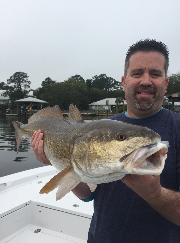 Channel catfish caught in FL